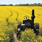 Agriculture